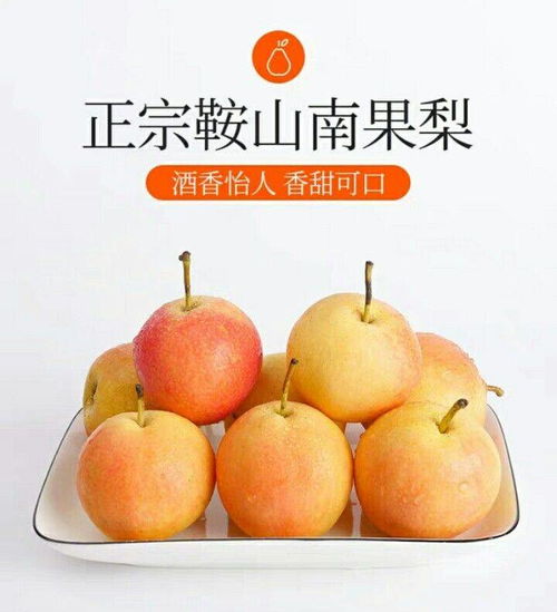 鞍山珍馐南果梨 一口酒香，满口东北情怀
